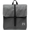 Grey (Limited Edition)